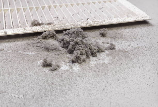 Best Air Duct Cleaning Cost  in Bristol, IN