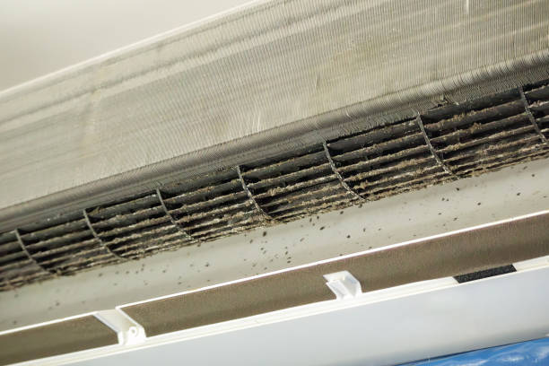 Best Air Duct Cleaning Near Me  in Bristol, IN